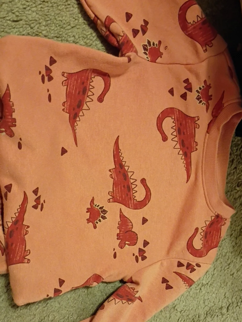 Kids' Dino Print Sweatshirt & Joggers Set